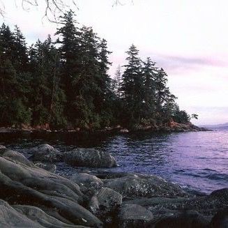 ⦻aspen;⦻ - Tiktok Profile Picture of ⦻aspen;⦻ (@aspenkixck13) on Tiktok