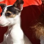 Profile Picture of jeremy sheridan (@jez23459) on Instagram