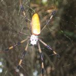 Profile Picture of Randy Arms (@randy.arms.39) on Facebook