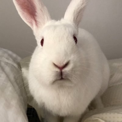 Profile Picture of Nicholas Philpott (@NicholasPhilpo8) on Twitter