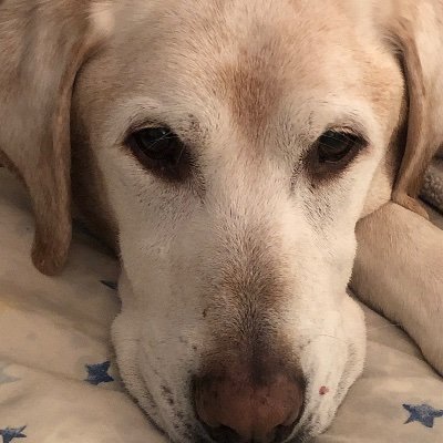 Profile Picture of Whitney Riegel Mooney (@MooneyRiegel) on Twitter