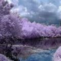 Profile Picture of Pamela Withrow (@jpwith) on Pinterest