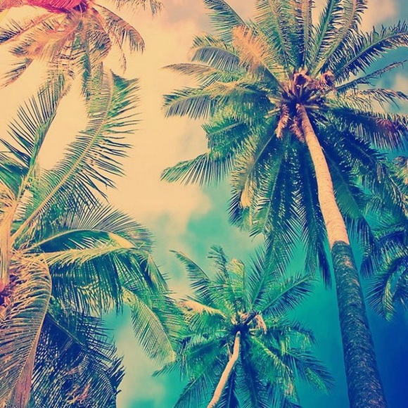 Profile Picture of James Smiley (@dasmiley02) on Poshmark