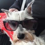 Profile Picture of Danielle McClintock (@wonders_closet) on Instagram