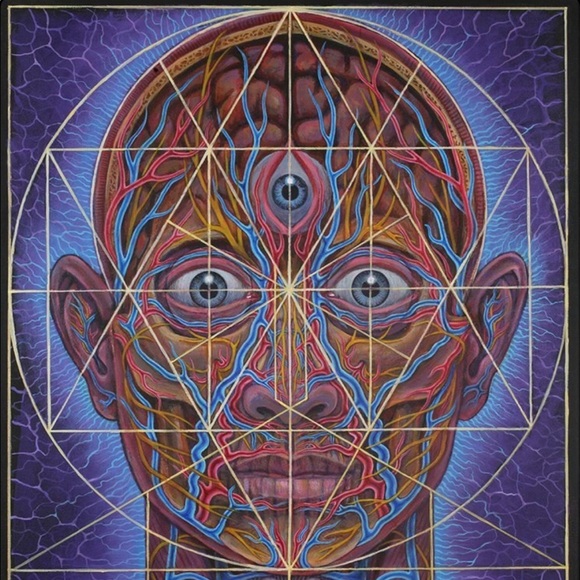 Profile Picture of Shannon Obersteadt (@shannonavry) on Poshmark