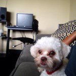 Profile Picture of Bently Batts (@bently_batts) on Instagram