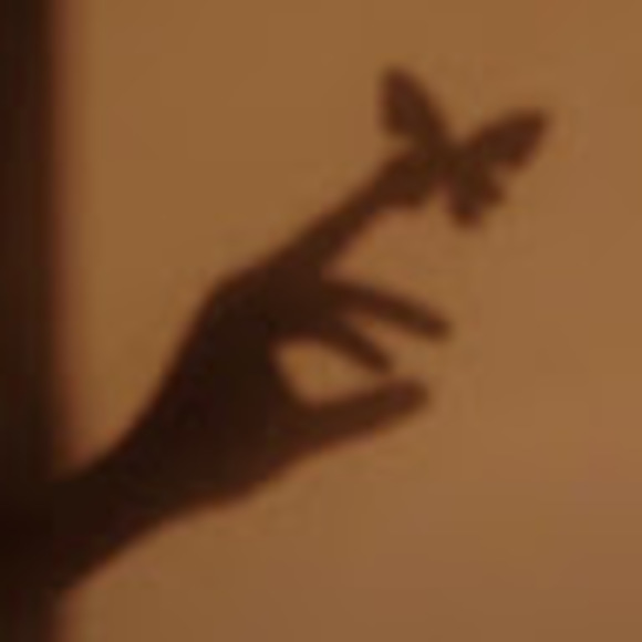 Profile Picture of Paige Thonus (@paigeloralei8) on Poshmark