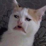 Profile Picture of jacob ponce (@follow_for_follow_plz7) on Instagram