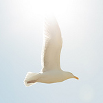 Profile Picture of Brian Lopez (@Brian_Lopez) on Flickr