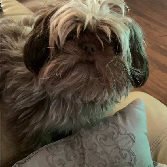 Profile Picture of Grethell Alvarez (@grethellalvarez) on Poshmark