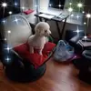 Profile Picture of David Macrae (@david.macrae6) on Tiktok
