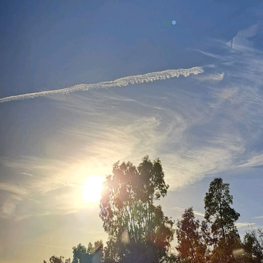 Profile Picture of ChrisFotiadis (@chrisfot_2009) on Tiktok