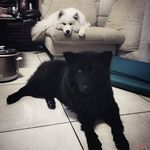 Profile Picture of Dave Robinson (@2.laurentvonstengel) on Instagram