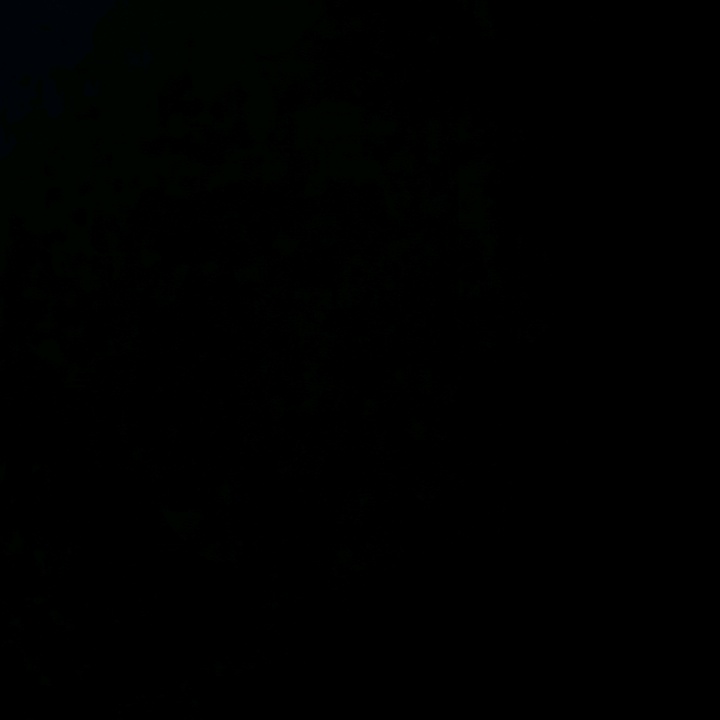 Profile Picture of Марк Боровских (@markborovskih) on Tiktok