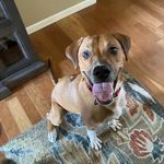 Profile Picture of Sherry Oswald (@sherryannemayberry) on Instagram