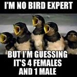 Profile Picture of james (@doeppelssterlincgavsysvsg) on Instagram