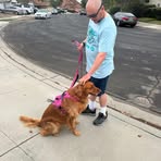 Profile Picture of Steven Sturtevant (@steven.sturtevant) on Facebook