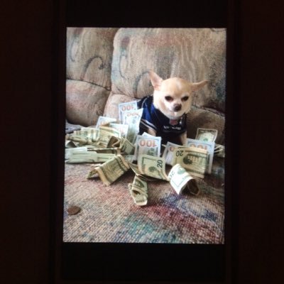 Profile Picture of Alora (@aloradavis12) on Twitter