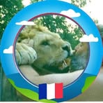 Profile Picture of Daniel Lorrain (@daniel.lorrain.33) on Facebook