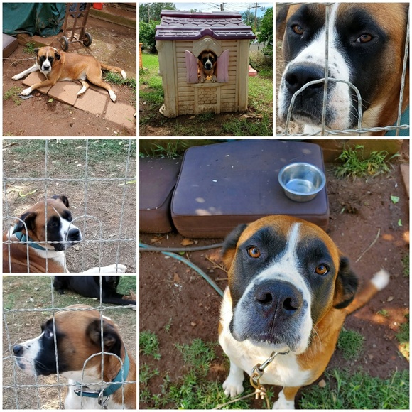 Profile Picture of Teresa Minnitte (@tminnitte) on Poshmark