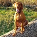 Profile Picture of Craig Gregory (@gregory.craig) on Instagram