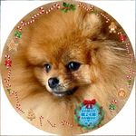 Profile Picture of Margareta Brzek (@margaretabrzek) on Instagram