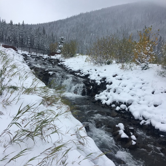 Cheryl Breum - Poshmark Profile Picture of Cheryl Breum (@cherylbreum) on Poshmark