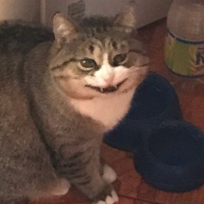 Profile Picture of John Bear (@ol_stomp) on Twitter