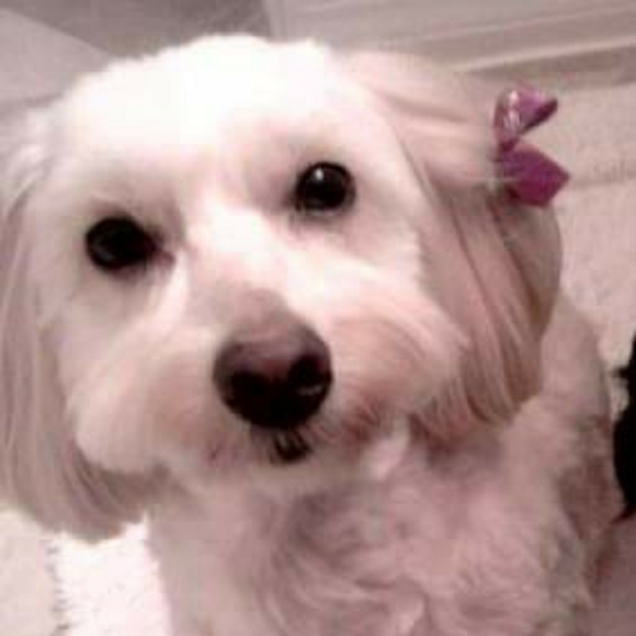 Profile Picture of Edith Macnichols (@emac905) on Poshmark