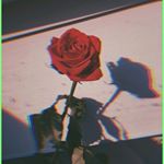 Profile Picture of ⓙⓤⓛⓘⓐ ☽ (@julia_fryzel) on Instagram