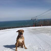 Profile Picture of Dave Knox (@dave-knox-11) on Quora