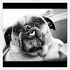 Profile Picture of Kyle Morrow (@morrowkyle@ymail.com) on Flickr