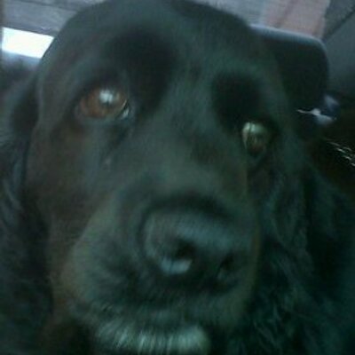 Profile Picture of Nina Simone Nugent (@Pichupine) on Twitter