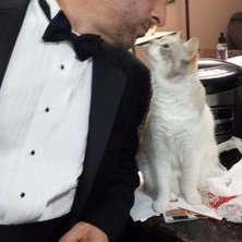 Profile Picture of Chris Todaro (@boaterboy37) on Twitter