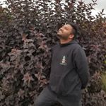 Profile Picture of Aaron Masih (@aaron_thetigertamer) on Instagram