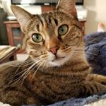 Roxanne Shamblin Floyd - Instagram Profile Picture of Roxanne Shamblin Floyd (@roxanne.s.floyd) on Instagram