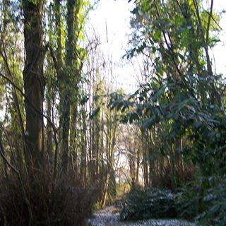 Profile Picture of Kieran Conroy (@kieran.conroy2) on Facebook