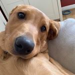 Profile Picture of Danielle Friar 💁🏻 (@danielle.friarr99x) on Instagram