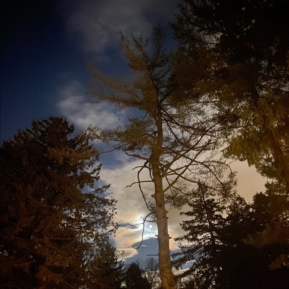 Profile Picture of Sami Slaboda (@samislaboda) on Poshmark