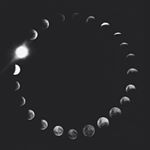 Profile Picture of chasecates (@chasecates) on Instagram