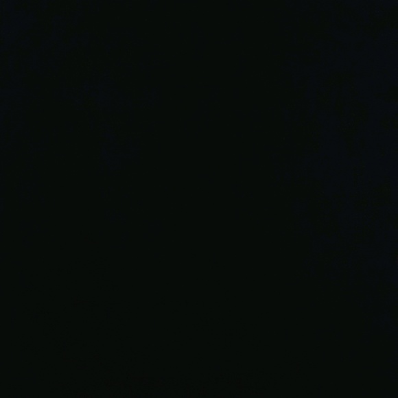 Profile Picture of Angelina Lansaw (@ginaginac) on Poshmark