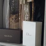 Profile Picture of Cory Neilson (@coryaneilson) on Instagram