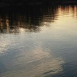 Profile Picture of Danny Siler (@danny_boy9984) on Instagram