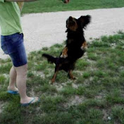 Profile Picture of Kingdomcavaliers (@kingdomcavaliers) on Youtube