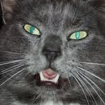 Profile Picture of Matt Prather (@Matt-Prather) on Facebook