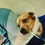 Profile Picture of isabelle Cunningham (@cunninghamisabelle600) on Instagram