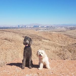 Profile Picture of Nicholas DeNardo (@DeNards21) on Twitter