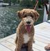 Profile Picture of Roberta Walsh (@roberta.walsh.946) on Facebook