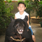 Profile Picture of Matthew Huang (@matthewhuang448) on Youtube