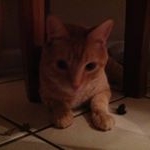 Profile Picture of Jeff Shockley (@jjshock755) on Instagram